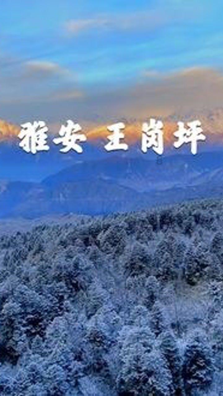 塔罗占卜师怎么考?考证要求是?