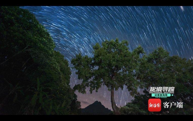 球球大作战下载最新版