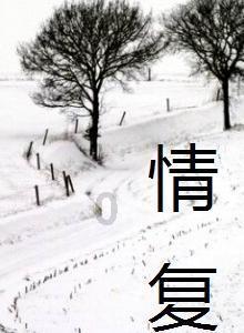 狂野飙客4