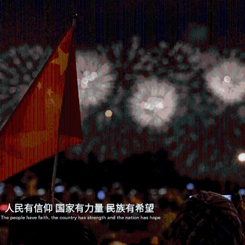 如何带“毛孩子”乘飞机回家过年?这份指南请收好